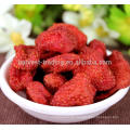 Massenfrisch getrocknete Erdbeeren